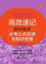 高效速记 必考公式定律与知识梳理 初中化学