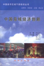 中国县市区域干部培训丛书 中国县域经济创新