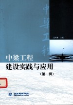 中梁工程建设实践与应用 第1辑