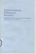 Commonsense computer Security