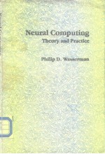 Neural Computing Theory and Practice