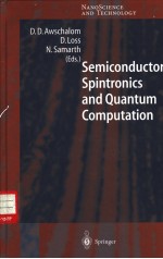 Semiconductor Spintronics and Quantum Computation