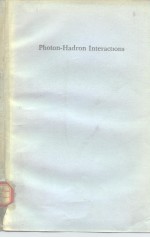 Photon-Hadron Interactions