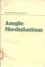 Angle modulation:the theory of system assessment