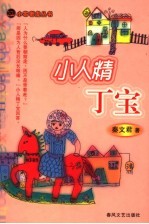 小人精丁宝