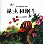 学习游戏翻翻书 3 昆虫和蜗牛