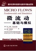 微流动 基础与模拟 fundamentals and simulation