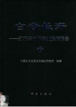 白音长汗：新古器时代遗址发掘报告 下