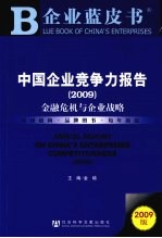 中国企业竞争力报告 2009 金融危机与企业战略