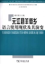 元江县羊街乡语言使用现状及其演变