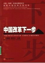 中国改革下一步