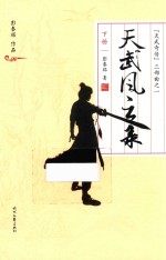 “天武奇传”三部曲 1 天武风云录 下