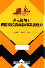 多元视角下我国高校青年教师发展研究