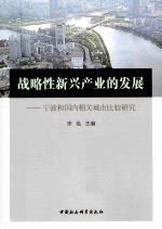 战略性新兴产业的发展 宁波和国内相关城市比较研究