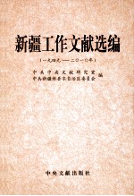 新疆工作文献选编  1949-2010