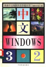 中文Windows 3.2