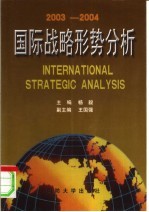 国际战略形势分析 2003-2004