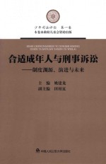 合适成年人与刑事诉讼  制度渊源、演进与未来