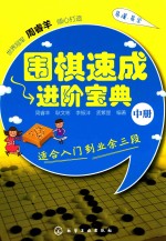 围棋速成进阶宝典 中