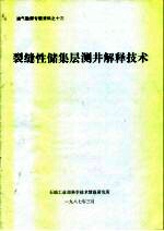 油气勘探专题资料之十三 裂缝性储集层测井解释技术