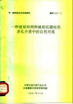 中一加科技合作交流资料  一种液相和两种液相在圆柱形多孔介质中的自然对流