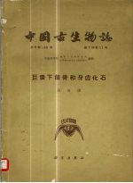 中国古生物志  总号第146册  新丁种第11号  巨猿下颌骨和牙齿化石