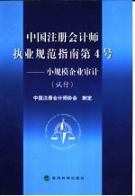 中国注册会计师执业规范指南第4号 小规模企业审计 试行