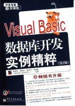 VISUAL BASIC数据库开发实例精粹 第2版