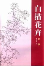 白描花卉 月季 China rose