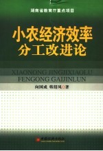 小农经济效率分工改进论 超边际经济学之应用研究