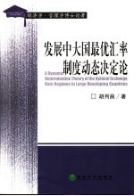 发展中大国最优汇率制度动态决定论