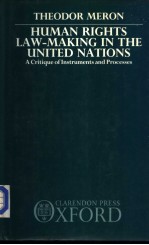 Human Rights Law-Making in the United Nations A Critique of Instruments and Process