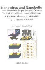 纳米线和纳米带：材料，性能和器件 卷1 金属和半导体纳米线