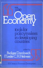 The Open Economy Tools for Policymakers in Developing Countries