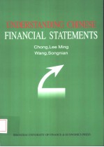 Understanding Chinese Financial Statements