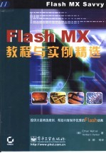 Flash MX教程与实例精选