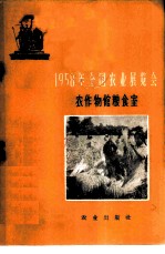 1958年全国农业展览会 农作物馆粮食室