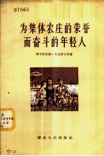 为集体农庄的荣誉而奋斗的年轻人