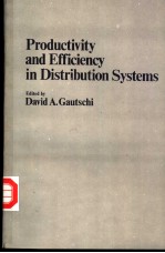 Productivity and Efficiency in Distribution Systems