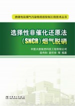 选择性非催化还原法（SNCR）烟气脱硝