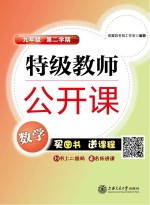 特级教师公开课 数学 九年级 第二学期