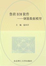 鲁班BIM软件 钢筋数据模型