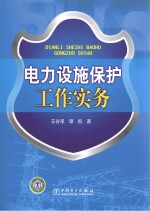 电力设施保护工作实务