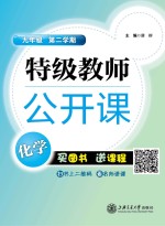 特级教师公开课  化学  九年级  第二学期