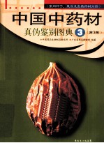 中国中药材真伪鉴别图典  3  常用种子、果实及皮类药材分册