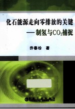 化石能源走向零排放的关键 制氢与CO2捕捉