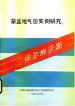 深盆地气田实例研究：埃尔姆沃斯