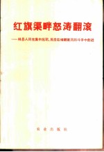 红旗渠畔怒涛翻滚 林县人民在集中批邓、反击右倾翻案风的斗争中前进