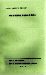 《顺德市域可持续发展研究》专题报告之八 顺德市域基础设施可持续发展研究