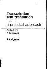 Transcription and translation a practical approach